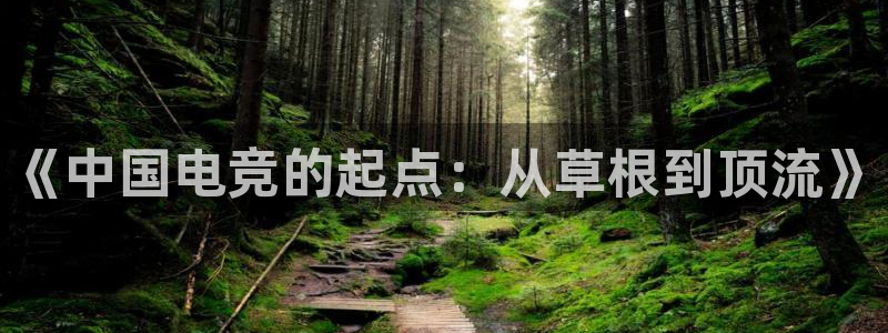 k1电竞俱乐部：《中国电竞的起点：从草根到顶流》