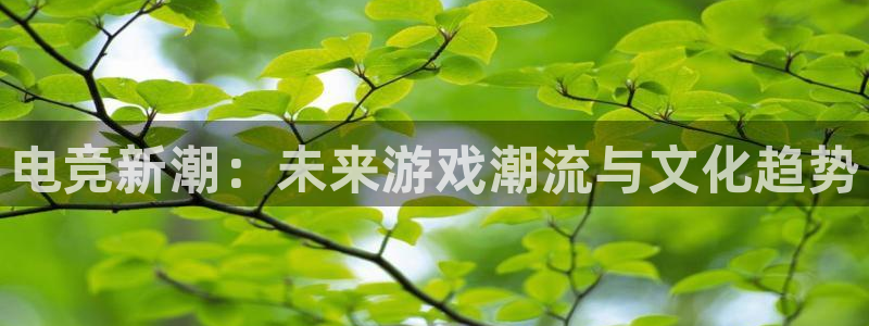 k1电竞在哪下单：电竞新潮：未来游戏潮流与文化趋势