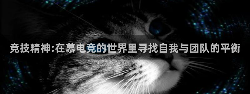 k1电竞酒店：竞技精神:在慕电竞的世界里寻找自我与团队的平衡