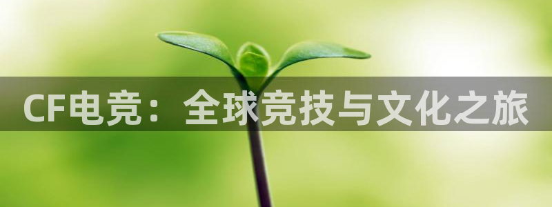 k1电竞馆：CF电竞：全球竞技与文化之旅