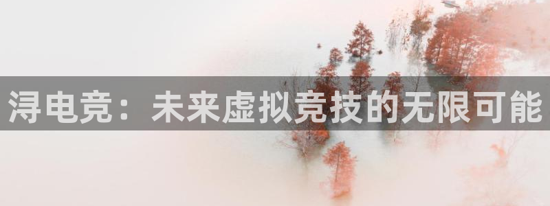 k1电竞俱乐部：浔电竞：未来虚拟竞技的无限可能