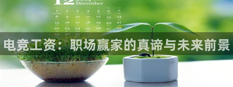 k1电竞比赛：电竞工资：职场赢家的真谛与未来前景