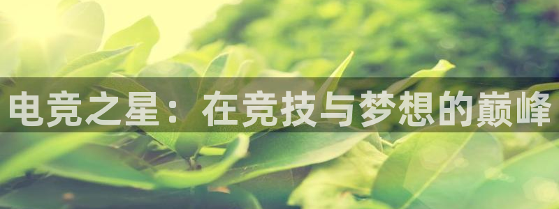 k1电竞酒店：电竞之星：在竞技与梦想的巅峰